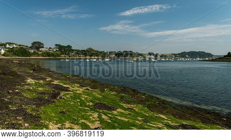 Aber Benoit In Brittany (france) On A Sunny Day In Summer, Low Tide, Green Algae