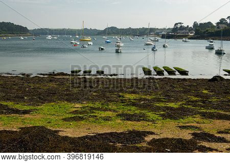 Aber Benoit In Brittany (france) On A Sunny Day In Summer, Low Tide, Green Algae