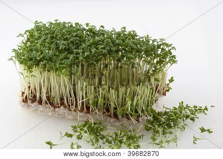 Cortar en parte Cress