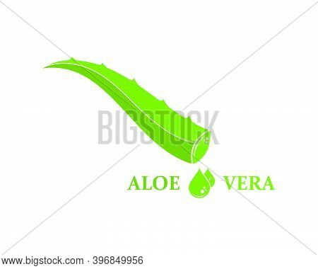 Aloevera Logo Icon Vector Illustration Design