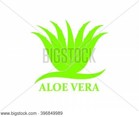 Aloevera Logo Icon Vector Illustration Design