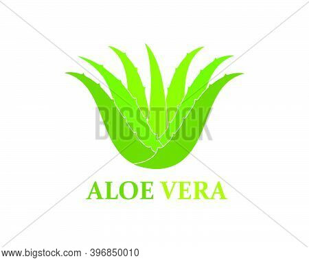 Aloevera Logo Icon Vector Illustration Design