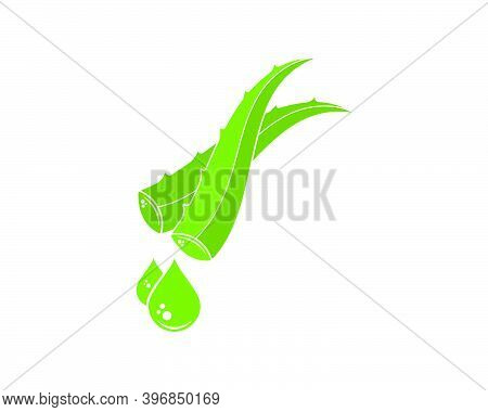 Aloevera Logo Icon Vector Illustration Design