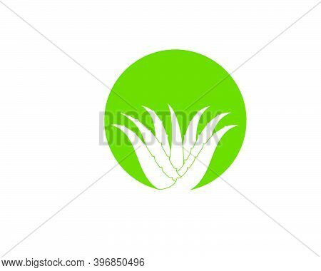 Aloevera Logo Icon Vector Illustration Design