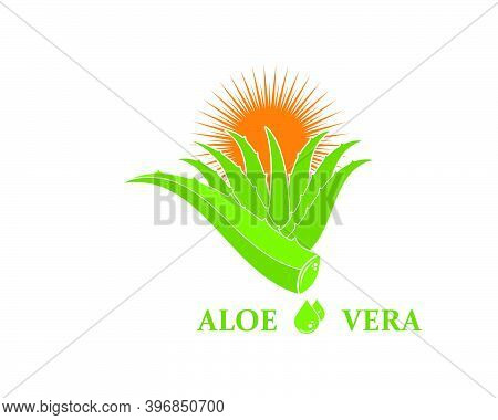Aloevera Logo Icon Vector Illustration Design