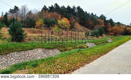 Autumn Forest.
All The Colors Of Autumn Leaves In The Forest.
