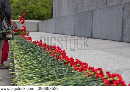 Laying A Red Carnation In Memory Of The Dead. Red Carnations On A Granite Gravestone.memorial Comple