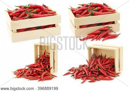 red rawit peppers  (Capsicum annuum 'Bird's Eye') in a wooden box on a white background