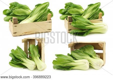 fresh Shanghai (small) paksoi in a wooden crate on a white background