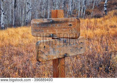 Trail Sign On The Y Trail, Provo Peak Hiking Trail By Y Mountain, Up Slide Canyon And Slate Canyon, 