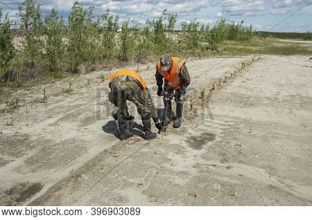 Khanty-mansi Autonomous Okrug, Russia / 12.06.2015: Reclamation Of An Oil Production Site. Planting 
