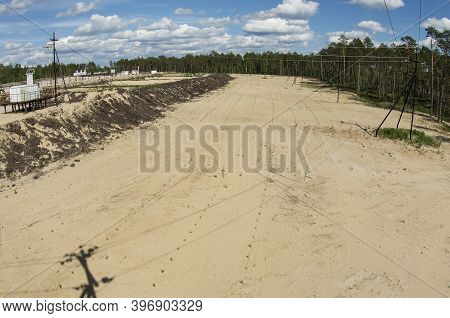 Reclamation Of An Oil Production Site. Planting Pine Seedlings.