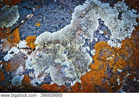 Beautiful Image Of Karakos On The Uneven Surface Of The Stone