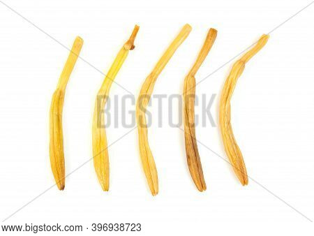 Day Lily Or Hemerocallis Lilioasphodelus Isolated On White Background
