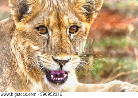 Lion, Pantera Leo In African Savannah East Africa Tanzania
