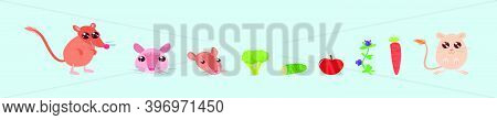Set Of Gerbil, Fruit And Vegetable Cartoon Icon Design Template With Various Models. Modern Vector I