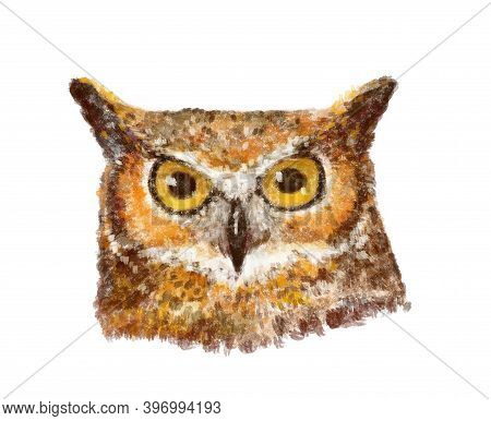 Drawing Of A Portrait Of An Owl Multicolored, With Yellow Eyes And Variegated Plumage. Textured Draw