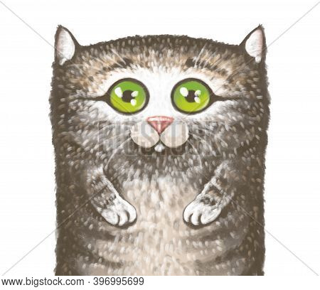 Illustration Of A Portrait Of A Gray Striped Cute Cat On A White Background. Texture Charming Drawin
