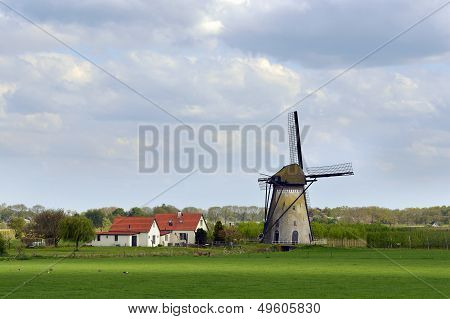 Windmill