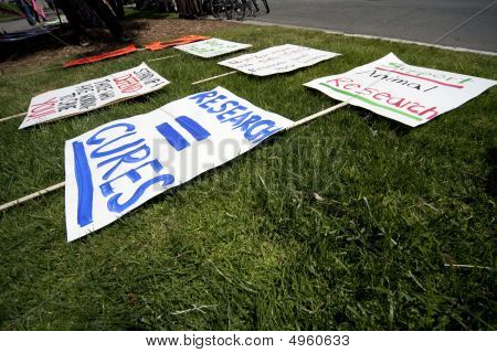 Ucla Pro-test Signs