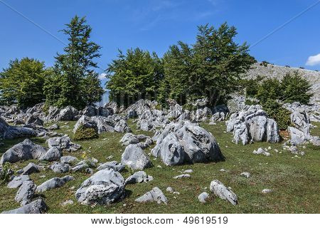 Mehedinti Mountains