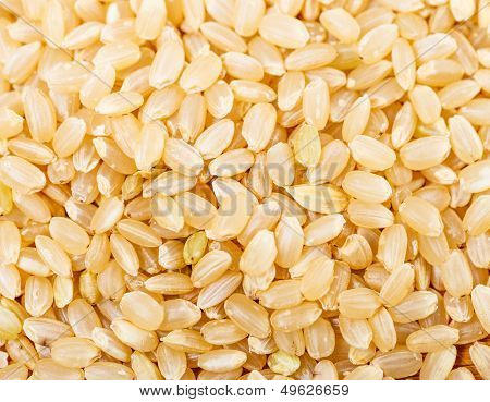 Brown rice