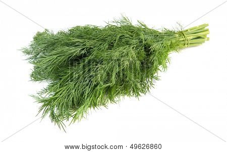 Fresh dill isolated over white