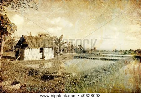Balinese landscape - picture in retro style