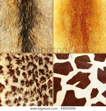 great fur set