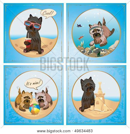 Terrier Summer Collection