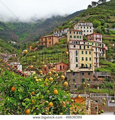 bella Italia series - Riomaggiore mountain village with famous lemons, Cinque terre