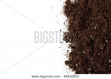 Soil on the white