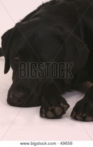 Resting