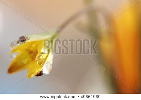 Abstract macro