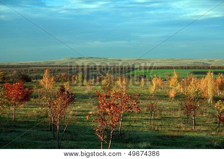 Autumn