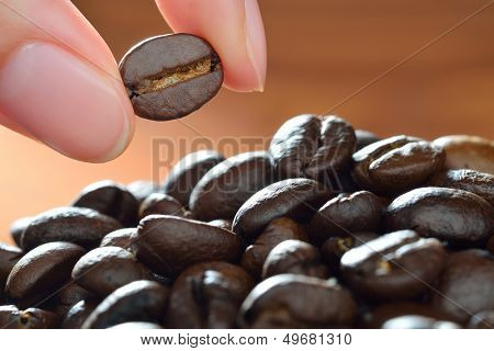 Coffee Beans