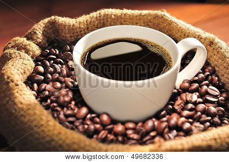 Coffee