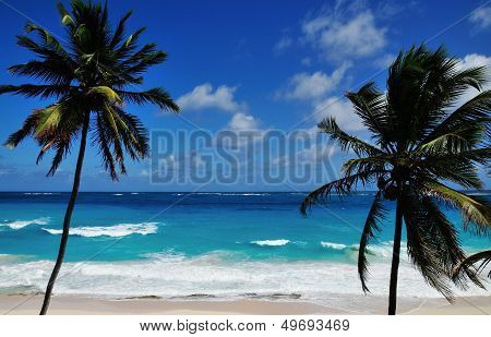 Tropical Beach