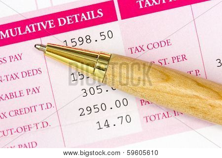 Pen With Statement Of Salary Details