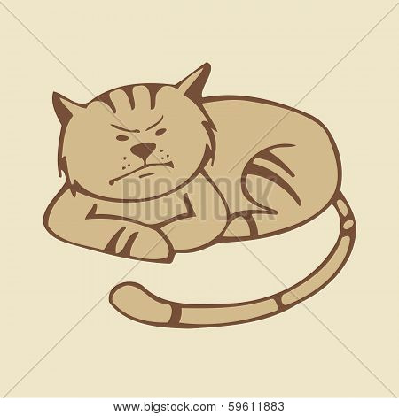 Angry Cat
