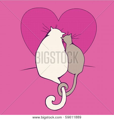 Valentine`s cats
