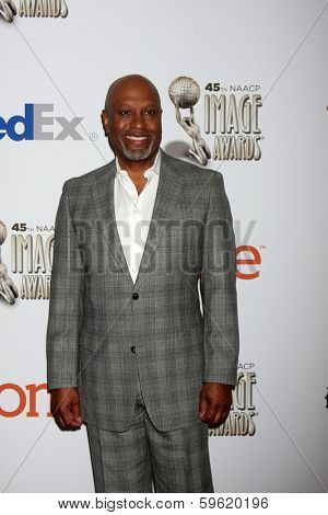 LOS ANGELES - FEB 8:  Jmaes Pickens, Jr at the 2014 NAACP Image Awards Nominees Luncheon at Loews Hollywood Hotel on February 8, 2014 in Los Angeles, CA