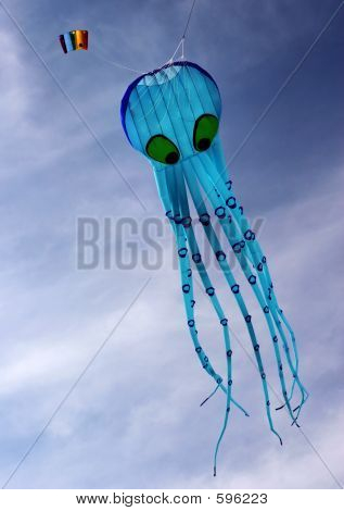 Calamari In blu