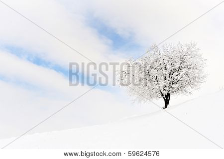 beautiful winter landscape in Sirnea, Romania