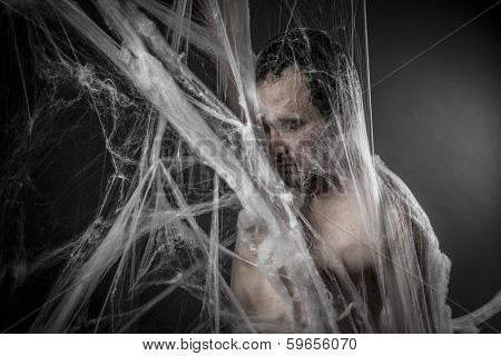 Internet.man tangled in huge white spider web