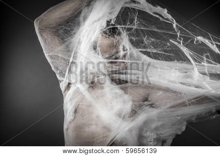 Trap.man tangled in huge white spider web