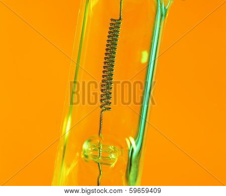 Halogen Bulb