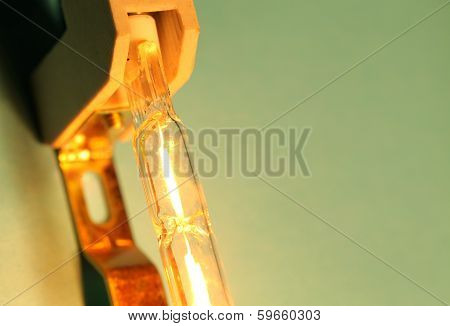 Halogen Bulb