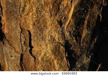 Orange Oxydation Texture