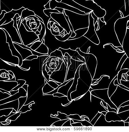 rose background black